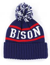 Howard Beanie w/ Puffball - 2025 1