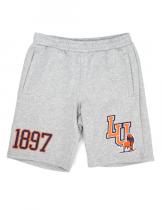 Langston Men's Grey Shorts - 2024