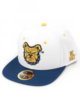 NC A&T State Snapback Cap - 2025
