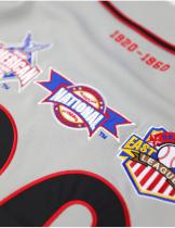 NLBM - Commemorative Grey Baseball Jersey - 2025 5