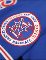 NLBM - Commemorative Baseball Jersey - BLUE - 2024 3