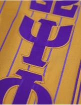 Omega GOLD Baseball Jersey - 2026 5