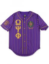 Omega PURPLE Baseball Jersey - 2026 2