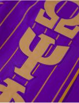 Omega PURPLE Baseball Jersey - 2026 5