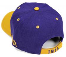 Omega Shield Cap w/ Gold Bib - 2023 1