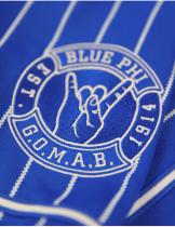 Sigma Royal Baseball Jersey - 2026 4