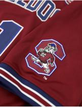 South Carolina State Football Jersey - 2025 3