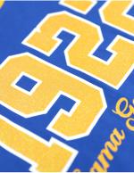 Sigma Gamma Rho Sorority Blue Glitter Lettering Long Sleeve Tee - 2023 1