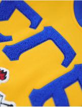 Sigma Gamma Rho Sorority Hoodie - 2026 5