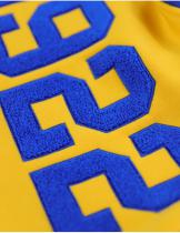 Sigma Gamma Rho Sorority Hoodie - 2026 6