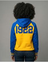 Sigma Gamma Rho Sorority Hoodie - 2026 1