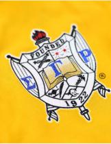 Sigma Gamma Rho Sorority Gold Longsleeve Jersey Tee - 2025 2