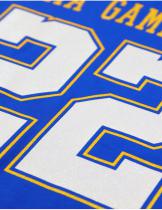 Sigma Gamma Rho Sorority Royal Longsleeve Jersey Tee - 2025 1