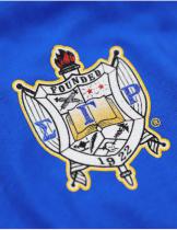 Sigma Gamma Rho Sorority Royal Longsleeve Jersey Tee - 2025 2