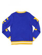 SIGMA GAMMA RHO SORORITY ROYAL V-NECK SWEATER - 2025 1