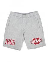Shaw Men's Grey Shorts - 2024