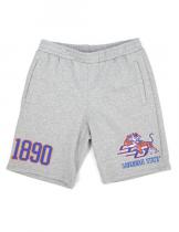 Savannah State Men's Grey Shorts - 2024