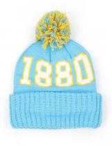 Southern Beanie w/ Puffball - 2025 1