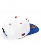 Tougaloo College Snapback Cap - 2025 1