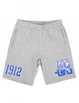 Tenn State Men's Grey Shorts - 2024