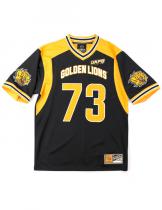 UAPB Football Jersey - 2024