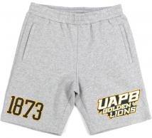 UAPB Men's Grey Shorts - 2024