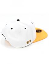 Univ Arkansas Pine Bluff Snapback Cap - 2025 1