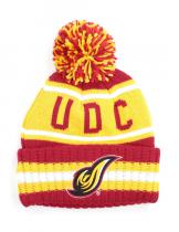 UDC_BEANIE-01-540x700w